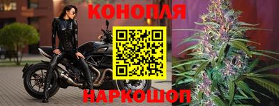 стаф Можайск