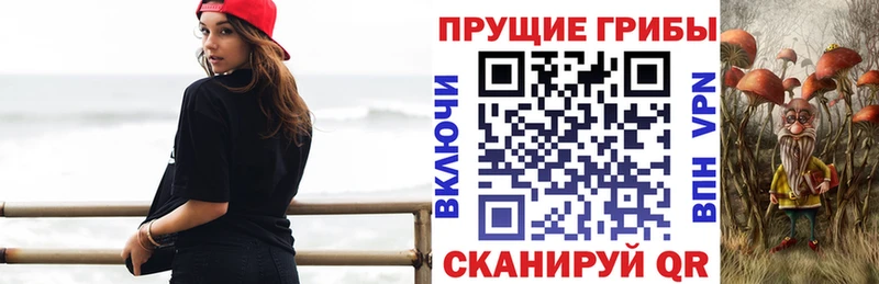 сколько стоит  Торжок  Галлюциногенные грибы прущие грибы 